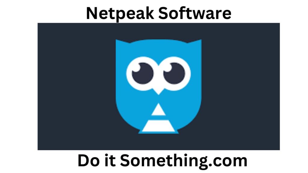 Netpeak Software