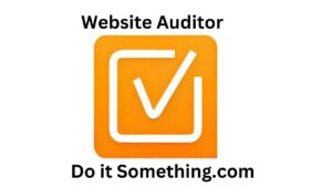 Website Auditor