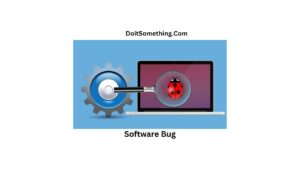 Software Bug