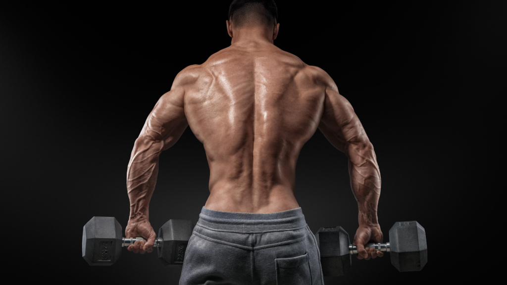 Building the Ultimate Physique