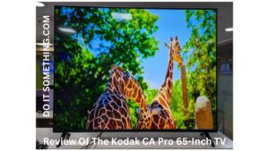 Kodak CA Pro 65-Inch TV